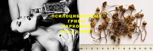 спайс Бородино