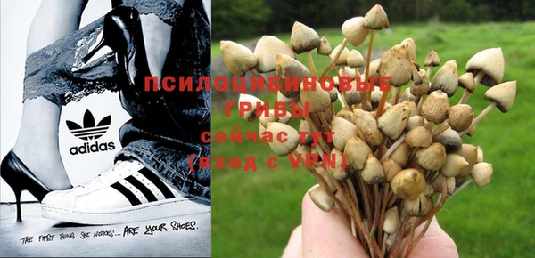 спайс Бородино