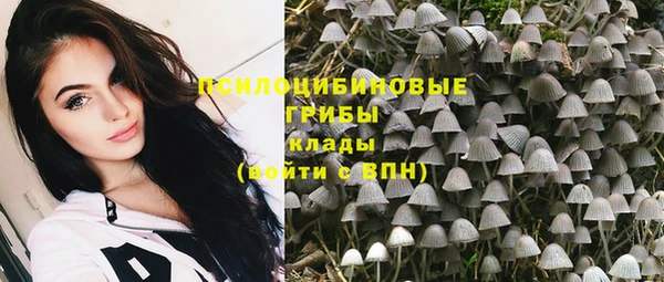mdpv Снежинск