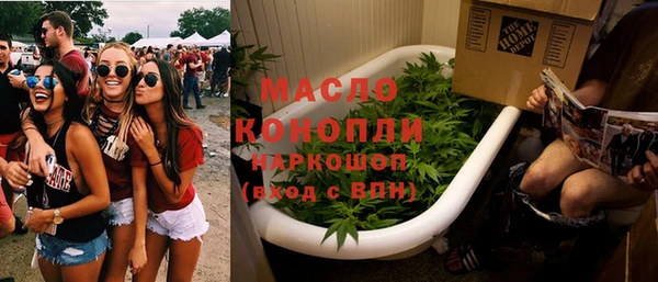 индика Снежногорск